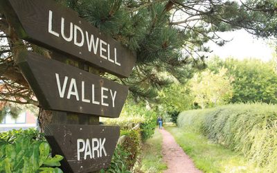Ludwell Valley Park Walk