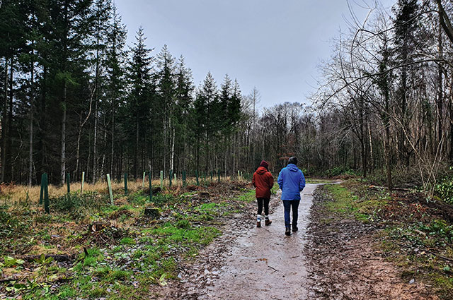 Ashclyst Forest Walks
