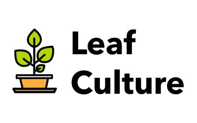 Leaf Culture
