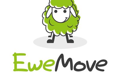 361 Investments (Ewemove Estate Agents Tiverton)
