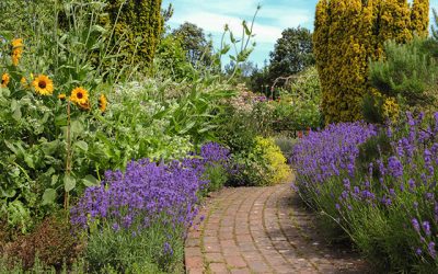 Go Here… Glorious Gardens of Devon
